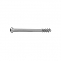 Cancellous Screw